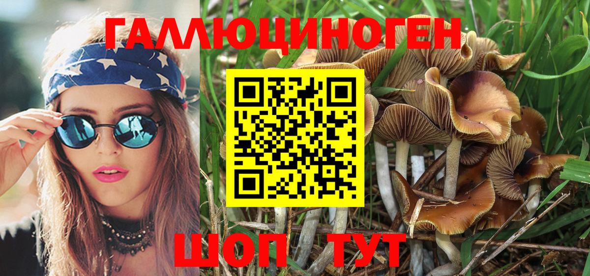 Галлюциногенные грибы MAGIC MUSHROOMS  Вход с VPN  Горно-Алтайск 