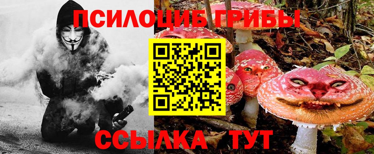 Галлюциногенные грибы прущие грибы Горно-Алтайск