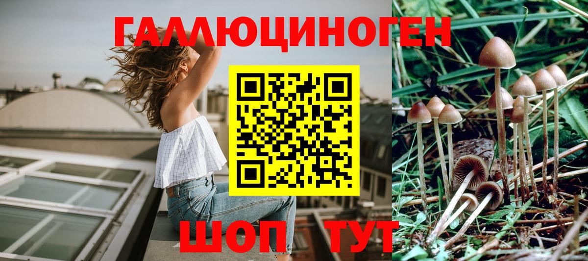 Каннабис Горно-Алтайск